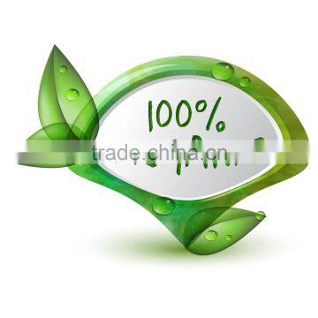 100 % Organic Psyllium