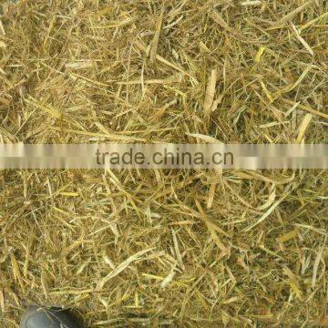 Hot Sale Farm Equipment Corn Stalk | Straw Feed Cutting Machine