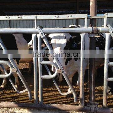 Agricultural Equipment Cow Feeder photo-3