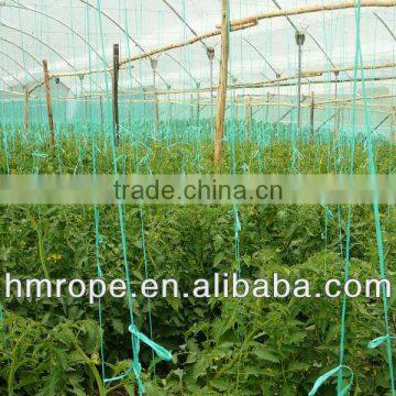 pp Agriculture Twine Rope