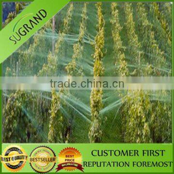 100% HDPE UV Agricultural Anti Bird Net / Fruit Tree Anti Bird Net