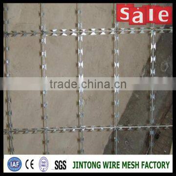 Razor Concertina Wire/razor Barbed Wire /razor Wire photo-5