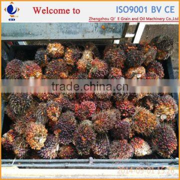 Kernel Oil in Palm Line of Production photo-3