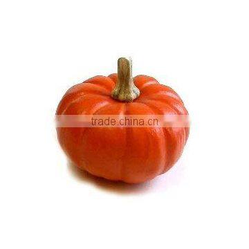 2011 Hot-Selling Natural Popular plastic pumpkin bucket