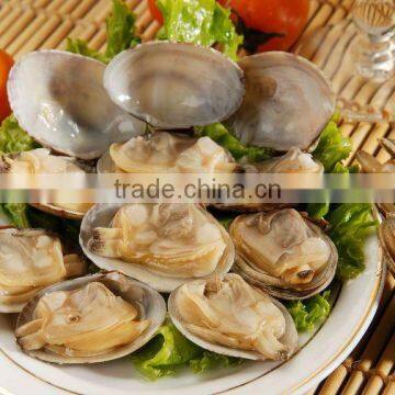 Baby clam with shell vacuum packing