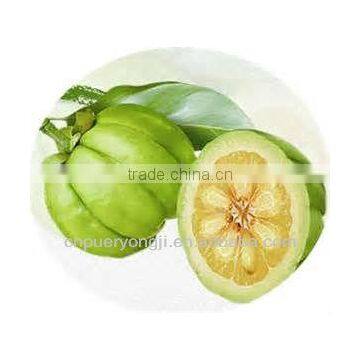 Pure Garcinia Cambogia Extract