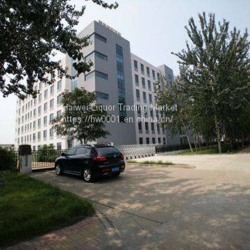 INTEGRATED PLAZA FOR GLOBAL LEASING AND SALE photo-2