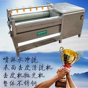 Commercial Conveyor Fruit Rinse Veg Purifier