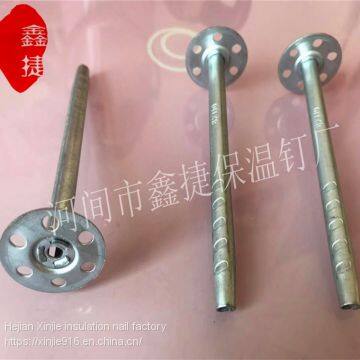 External Wall Metal Insulation Nail High Quality Wall Insulation Nail External Use of Engineering Insulation Nails photo-5