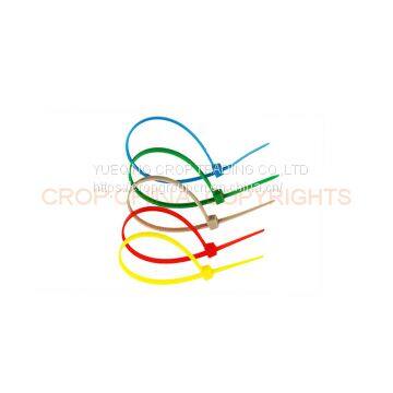 Plastic Cable Tie Binding Nylon Cable Tie photo-4