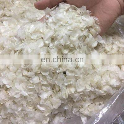 Dried Fish Scale From Vietnam / Fish Scale for Collagen photo-2