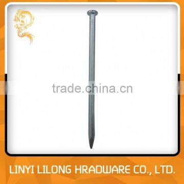 Galvanized Cement Nails Low Price