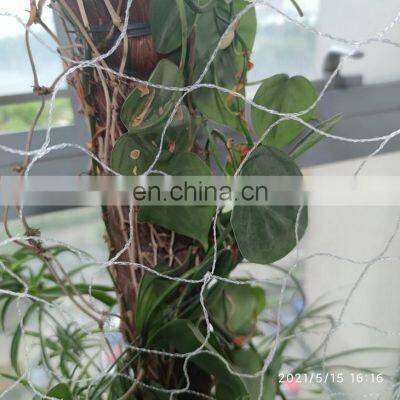 Polyethylene Knotless Anti Pigeon Netting/Anti Pigeons Mesh