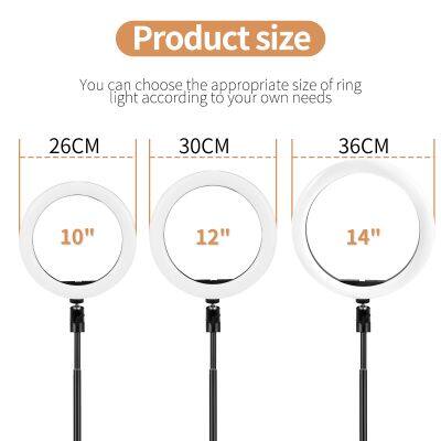 Wholesale Adjustable Selfie Led Ring Flash Light Tripod Selfie Stick With Ring Light for Phone Make up 12inch Ring Light photo-4