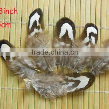 Wholesale Diy Feather Decorative Craft Feather photo-3