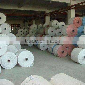 Customized Tubular pp Woven Roll for Bag Making photo-6