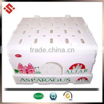 PP plastic material fruit packing box fruit gift packing box