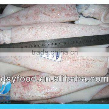 Frozen whole baby Squid