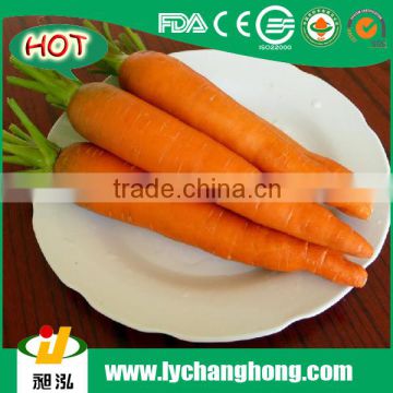 Fresh Carrot with lowest price