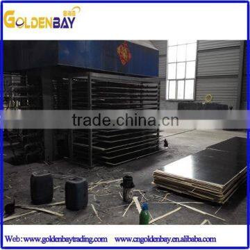 Film Faced Plywood,China Film Faced Plywood Supplier From Linyi Shandong photo-3