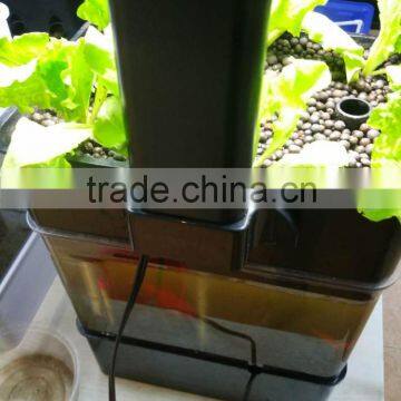 Mini Aquaponics System with LED