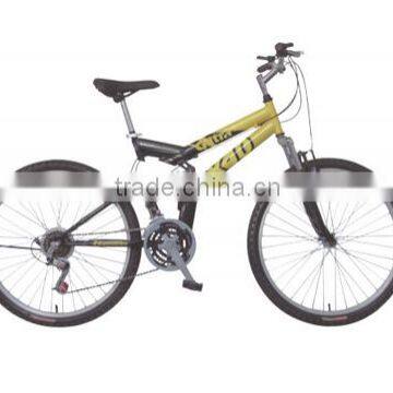 MTB Bicycle EIB-10