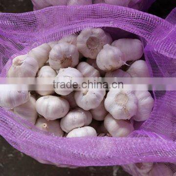 wholesale garlic