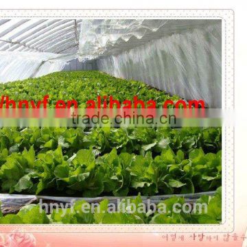 GREENHOUSE FILM