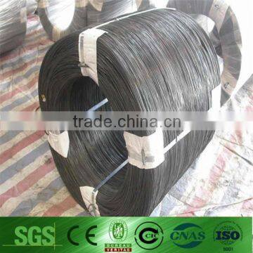 Galvanized Steel Wire / Steel pc Wire photo-4
