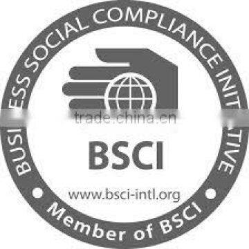 BSCI