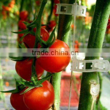 tomato grafting clips