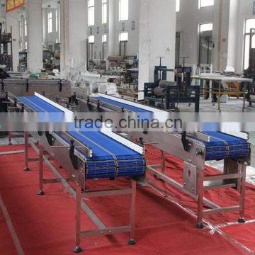 roller chain conveyor system for accumulation application