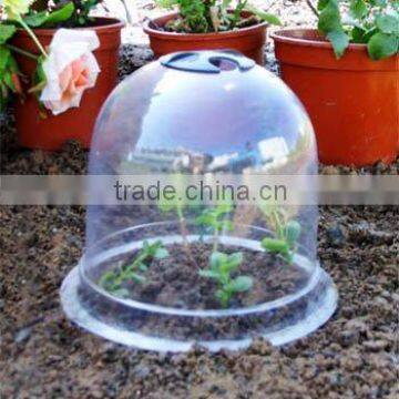 plastic Cloche