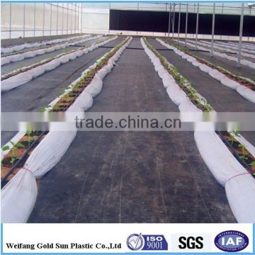 PP Nonwoven Weed Barrier Ground Cover Fabric