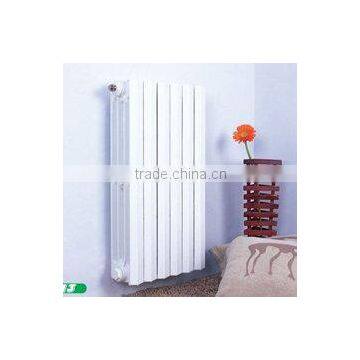 Syria Four Column Radiator