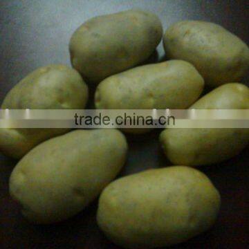 FRESH POTATO