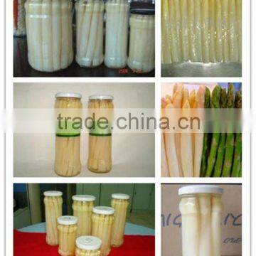 canned white asparagus