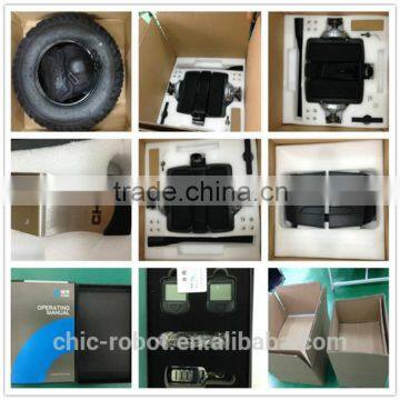 New Arrival Self Balance Sports Scooter Two Wheel New Advanced 2 Wheel Self Balance Electric Vehicle Scooter 2000W Transporter