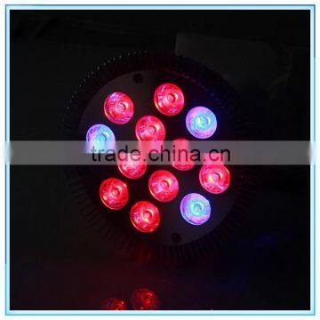 Factory Wholesale Menards Led Grow Light, 12w Par38 Led Grow Light Accept Paypal photo-6