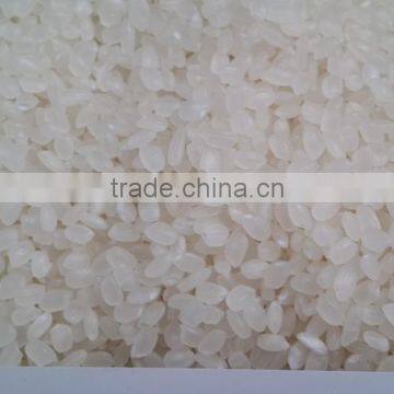 SELL ROUND RICE / JAPONICA RICE BEST QUALITY