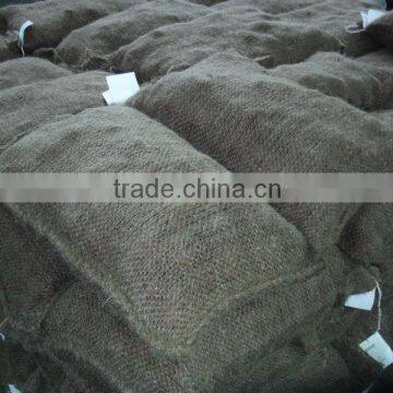 chinese chestnut 5kg bag Middle East