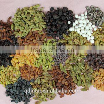 gloden raisin, green raisin, all types of raisins with factory price