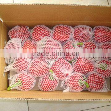 Chinese Red Bell Pepper New corp2013