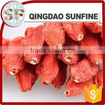 The conventional ningxia goji berry with high quality