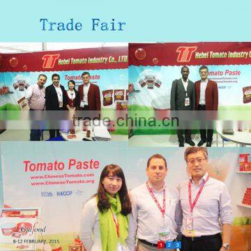 50g Sachet Tomato Paste With High Quality for South Africa photo-5