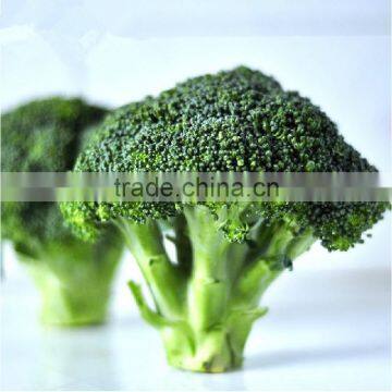 Broccoli powder products imported from china wholesale