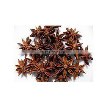 Star Aniseed