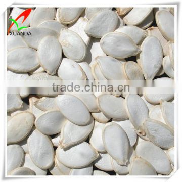 2014 hot sale pumpkin seeds snow white