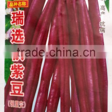 strong growth hot resistant red kidney bean seeds