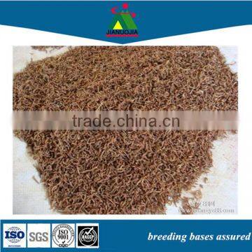 Dry Food Frozen Bloodworm